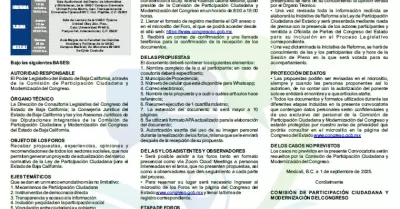 Participacin Ciudadana