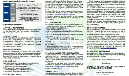 Participacin Ciudadana