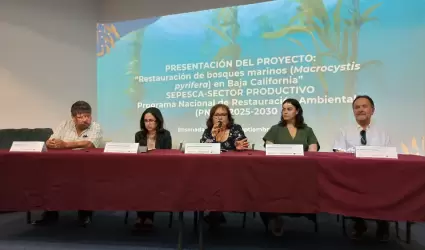 Bosques de macroalgas