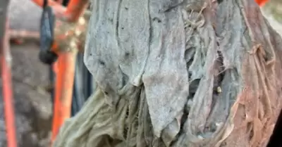 Residuos generan mayor nmero de afectaciones al sistema de alcantarillado