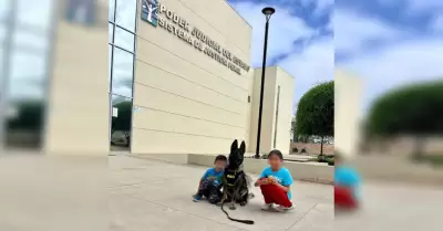 Acompaamiento con binomio canino