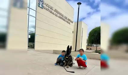 Acompaamiento con binomio canino