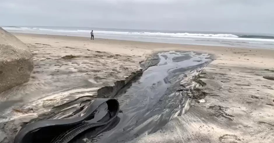 Agua contaminada Mar