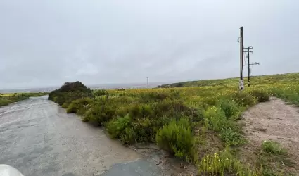 Contaminacin en el Valle del Ro Tijuana