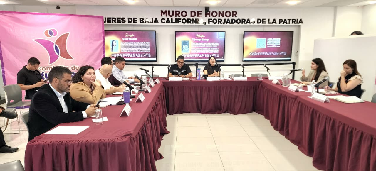 Avanzan en comisión dictámenes para prevenir y atender la violencia de ...