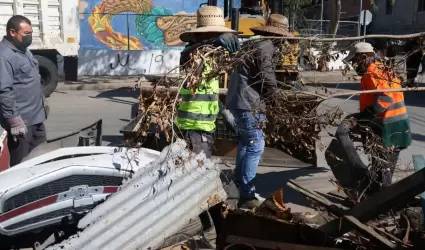 Tijuana: Ciudad Limpia