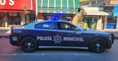 Reduccin de homicidios dolosos