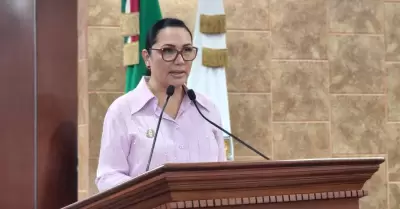 Diputada Araceli Geraldo