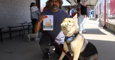 Abordaje Transversal de la Rickettsia