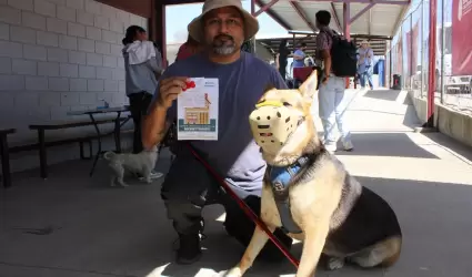 Abordaje Transversal de la Rickettsia