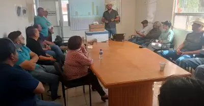 Produccin de Cereales de Invierno en el Valle de Mexicali