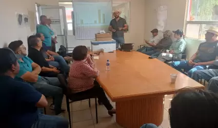 Produccin de Cereales de Invierno en el Valle de Mexicali