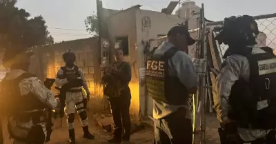 Canino rescatado en Tijuana, vctima de maltrato animal