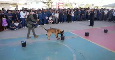 Programa "Escuela Informada, Escuela Segura"