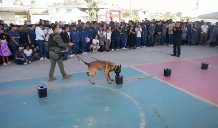Programa "Escuela Informada, Escuela Segura"