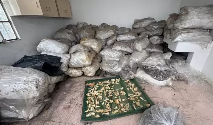 Detencin de traficante de animales