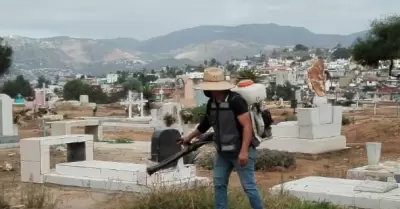 Fumigacin en Panten Municipal 2