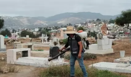 Fumigacin en Panten Municipal 2