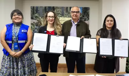 Colaboracin del Gobierno del Estado y OIM