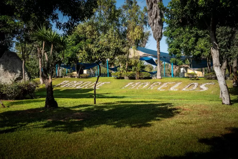 Jornada de limpieza en Parque Morelos