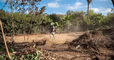 Parque