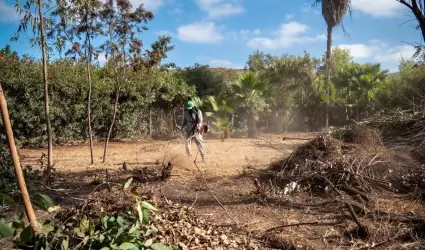 Parque