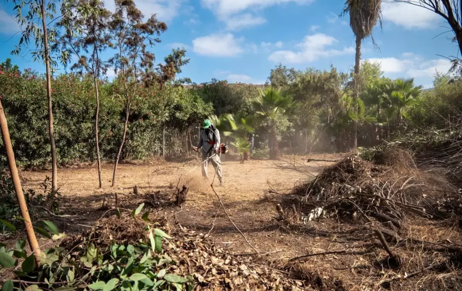 Jornada de limpieza en Parque Morelos