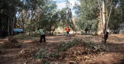 Jornada de limpieza en Parque Morelos
