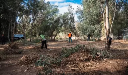 Jornada de limpieza en Parque Morelos