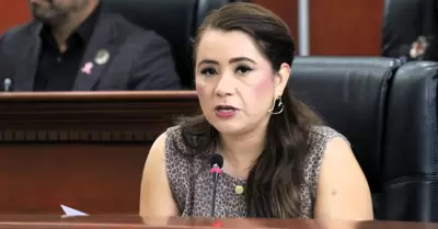Diputada Alejandra Ang Hernndez
