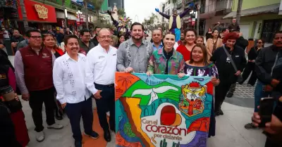 Nuevo andador peatonal de "La Revolucin"