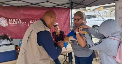 Acciones contra Rickettsiosis