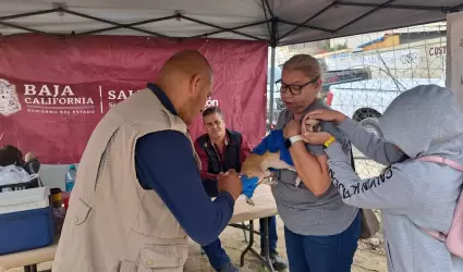 Acciones contra Rickettsiosis