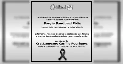 Agente estatal Sergio Sandoval Flix