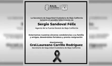 Agente estatal Sergio Sandoval Flix