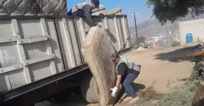 Jornada de traspatio en la Popular Emiliano Zapata