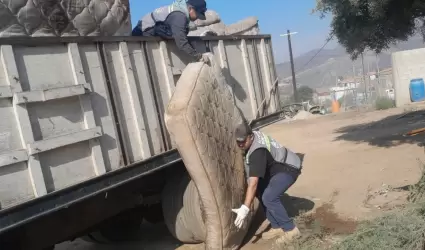 Jornada de traspatio en la Popular Emiliano Zapata