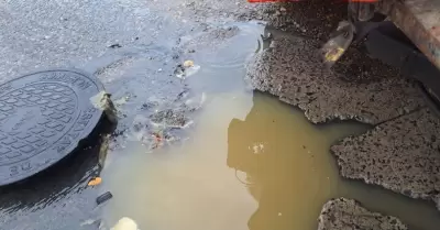 Recomendaciones ante pronstico de lluvias