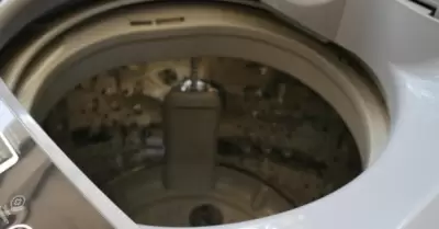 Secadoras modernas, elctricas o de gas, ahorran tiempo y ofrecen resultados ms