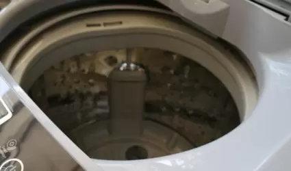 Secadoras modernas, elctricas o de gas, ahorran tiempo y ofrecen resultados ms