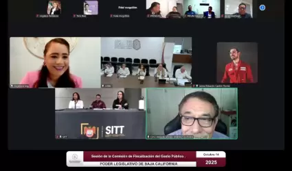 Comisin de Fiscalizacin