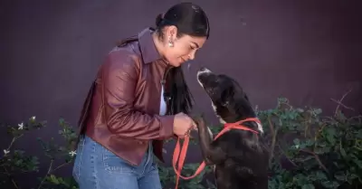 Rescate y la adopcin de mascotas