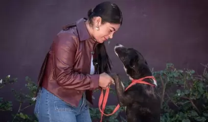 Rescate y la adopcin de mascotas