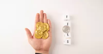 Las stablecoins ofrecen pagos digitales confiables frente a la volatilidad de cr