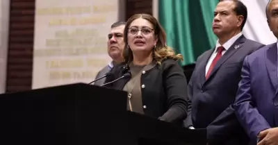 Diputada Ana Karina Rojo Pimentel