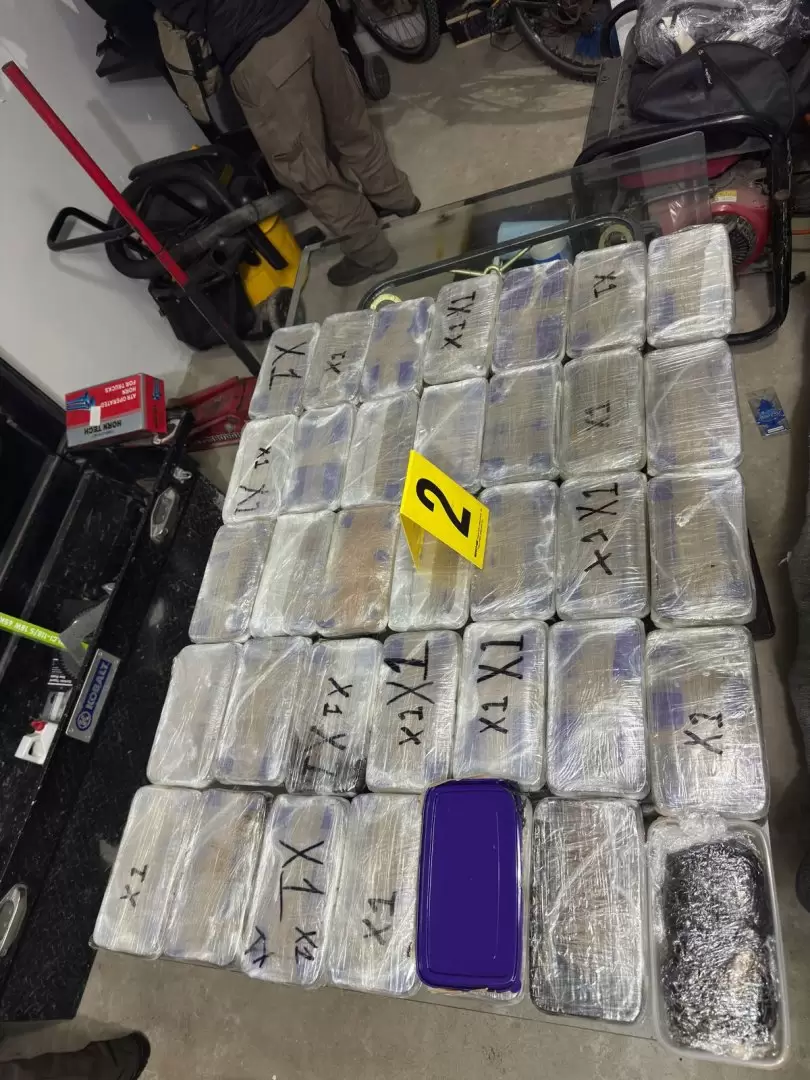 Fuerza Area y la Guardia Nacional