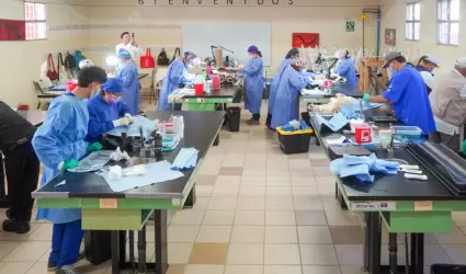 Aciones de esterilizacin canina y felina