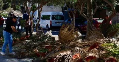 Tijuana: Ciudad Limpia