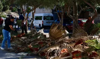 Tijuana: Ciudad Limpia