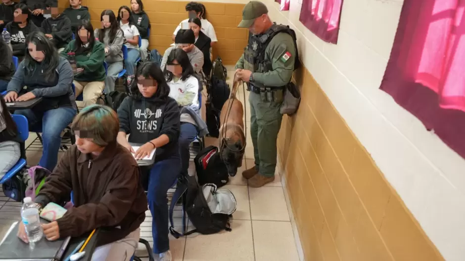 Programa de revisión preventiva en plantel educativo